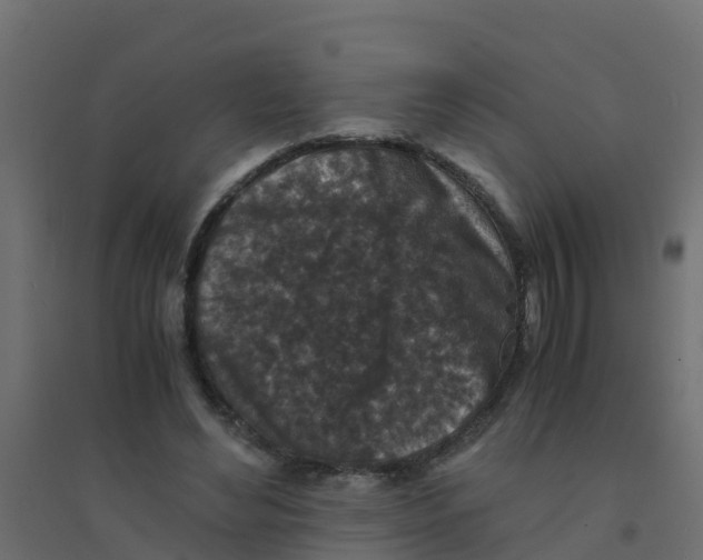 X0000094180492200711241556