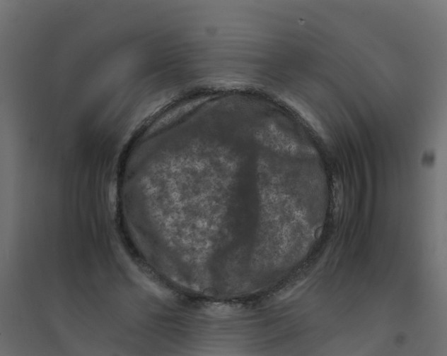 X0000094180494200711241556