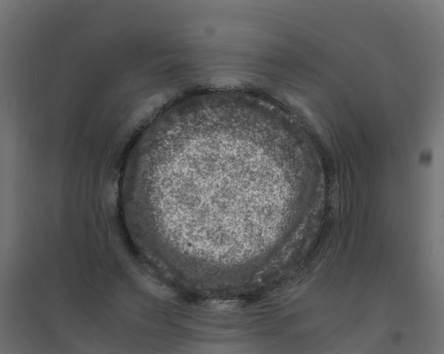 X0000094180495200711241556