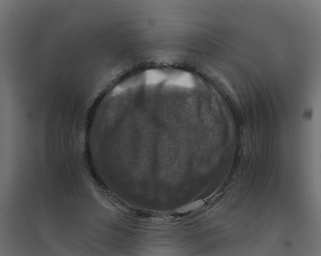 X0000094180496200711241556
