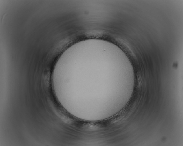 X0000094180498200711241556