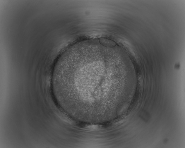 X0000094180499200711241556