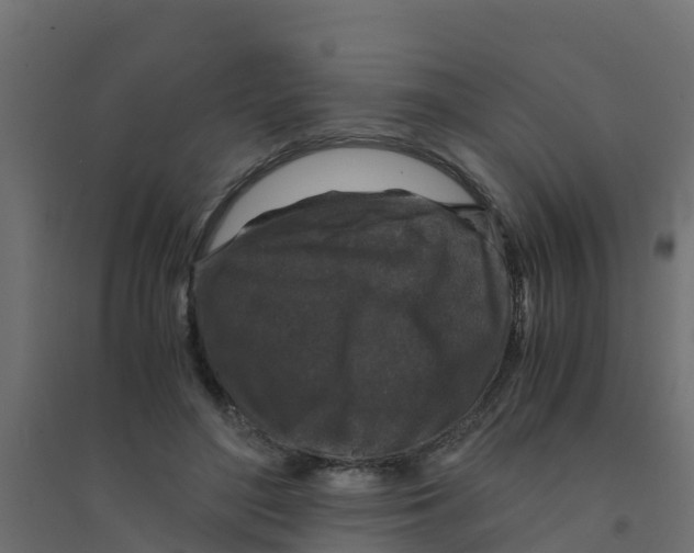 X0000094180500200711241556