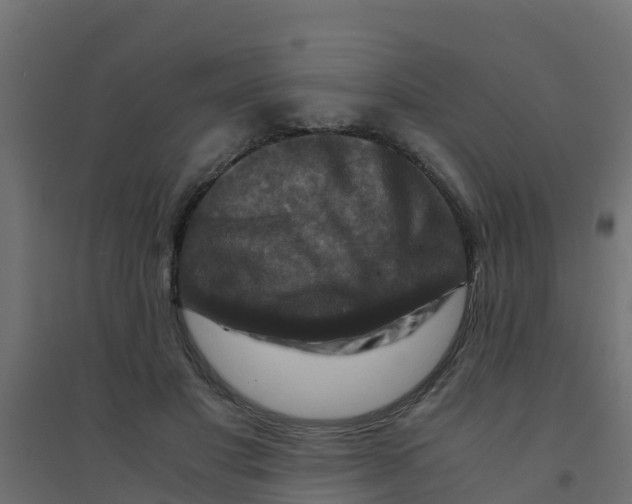 X0000094180501200711241556