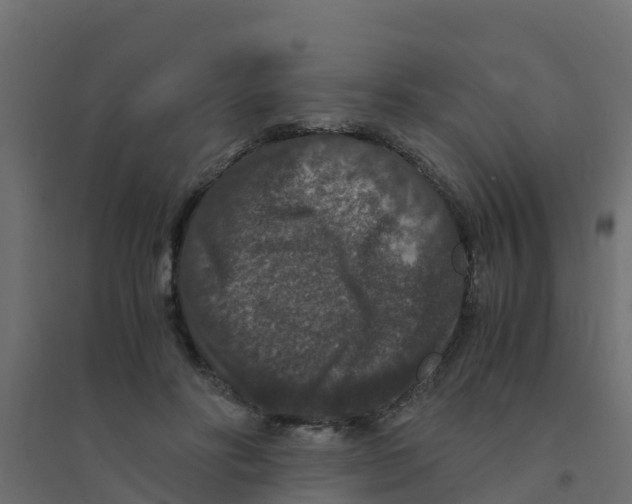 X0000094180502200711241556