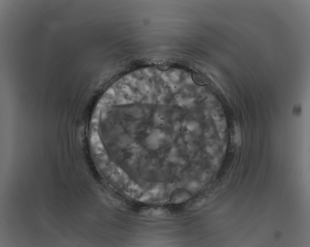 X0000094180503200711241556