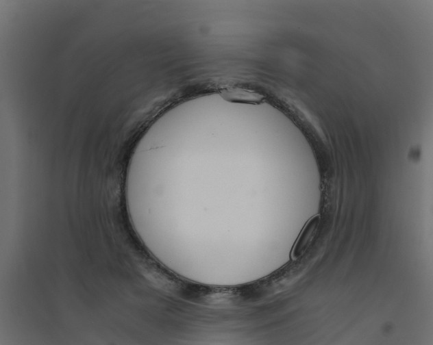 X0000094180505200711241556