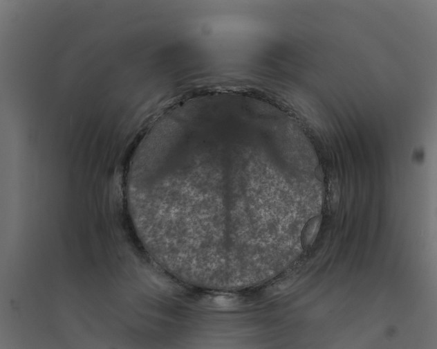 X0000094180506200711241556