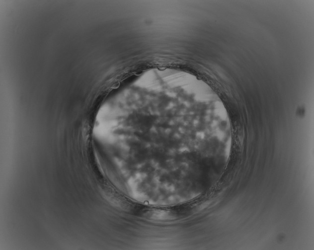 X0000094180507200711241556
