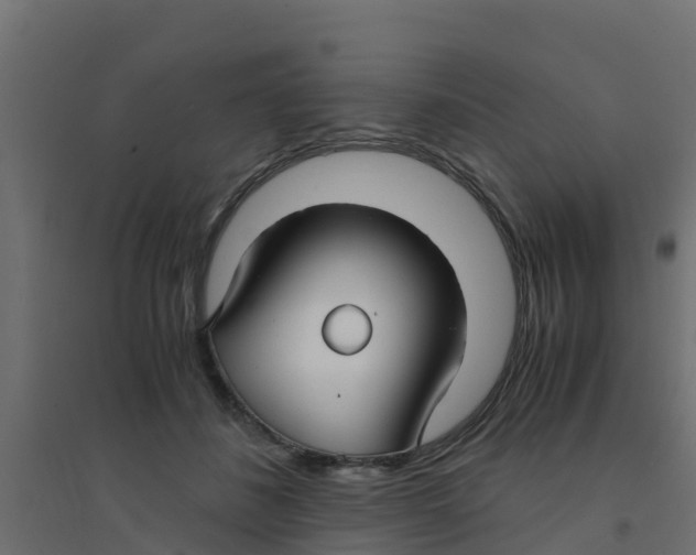 X0000094180508200711241556