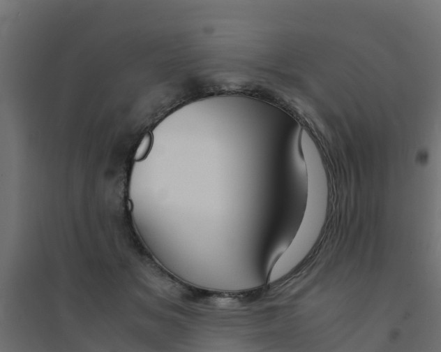 X0000094180509200711241556