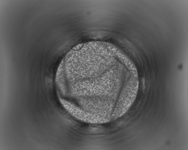 X0000094180510200711241556