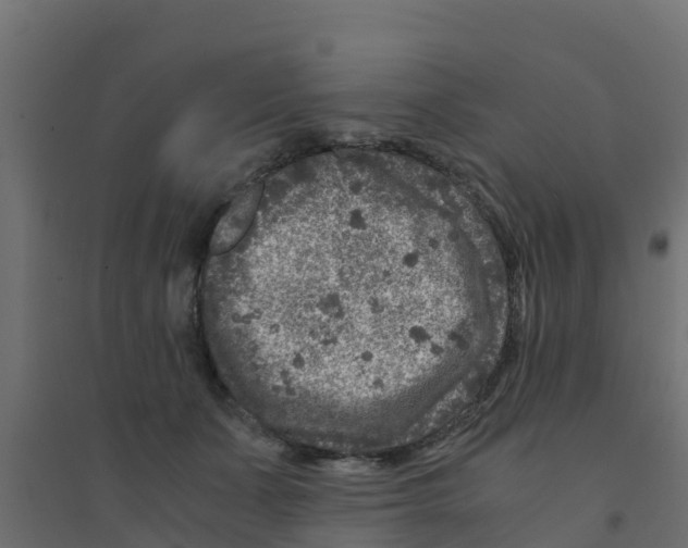 X0000094180511200711241556