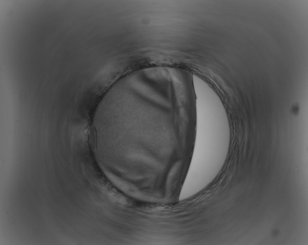 X0000094180513200711241556