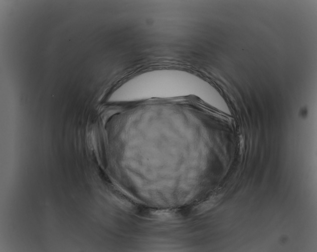 X0000094180516200711241556