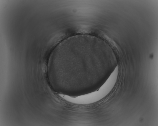 X0000094180517200711241556