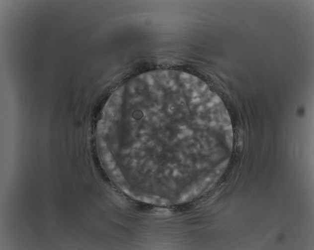 X0000094180519200711241556