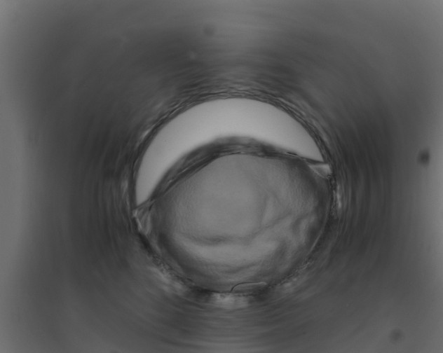X0000094180520200711241556