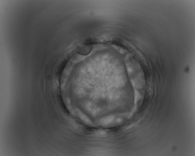 X0000094180523200711241556