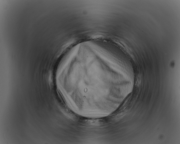 X0000094180524200711241556