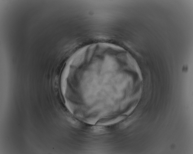 X0000094180528200711241556