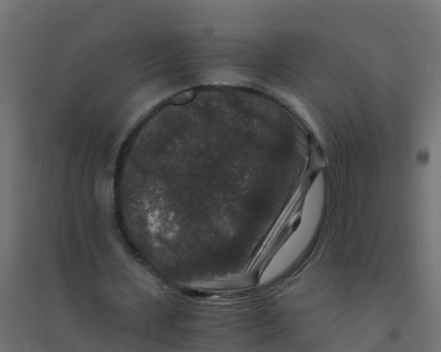 X0000094180531200711241555