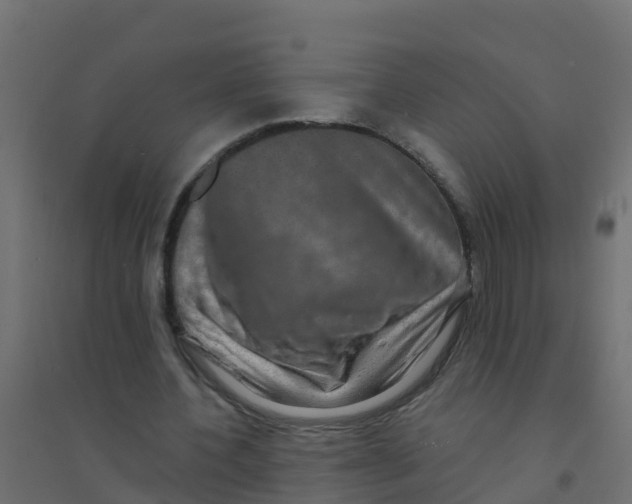 X0000094180532200711241555