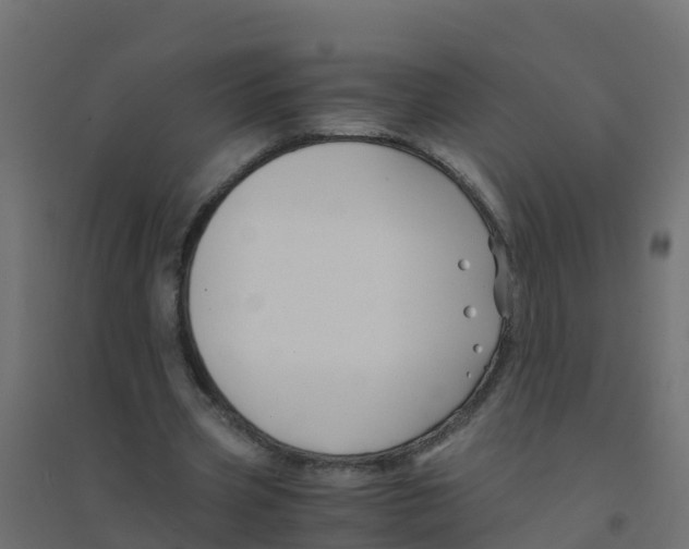 X0000094180533200711241555