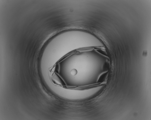 X0000094180534200711241555