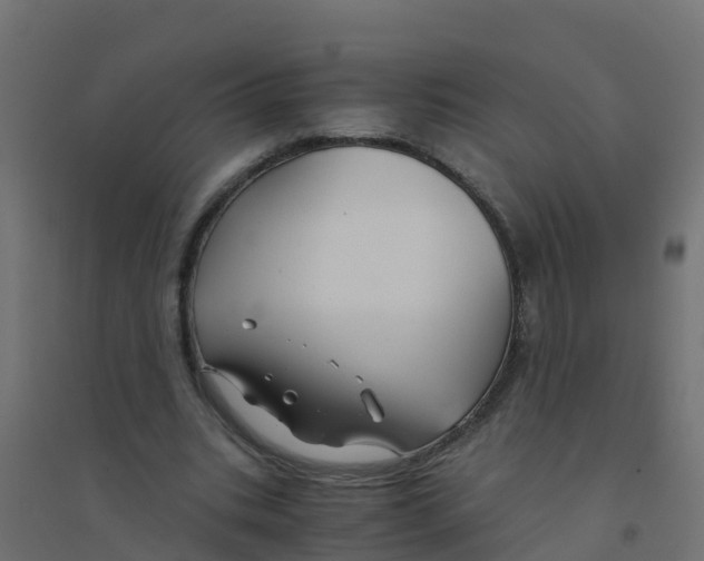X0000094180535200711241555