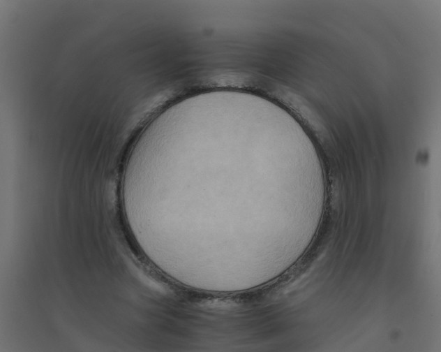 X0000094180537200711241555