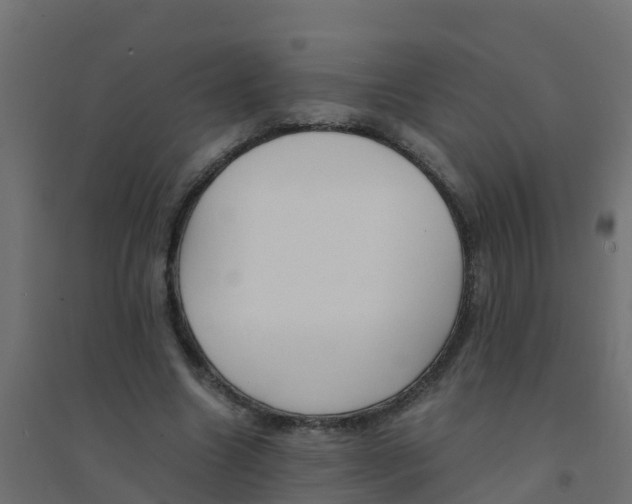 X0000094180538200711241555
