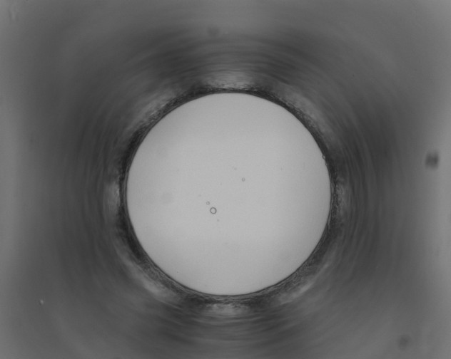 X0000094180541200711241555