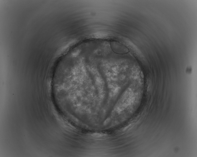 X0000094180542200711241555