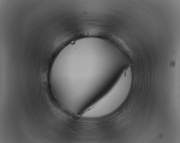 X0000094180543200711241555