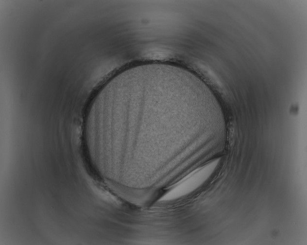 X0000094180544200711241555