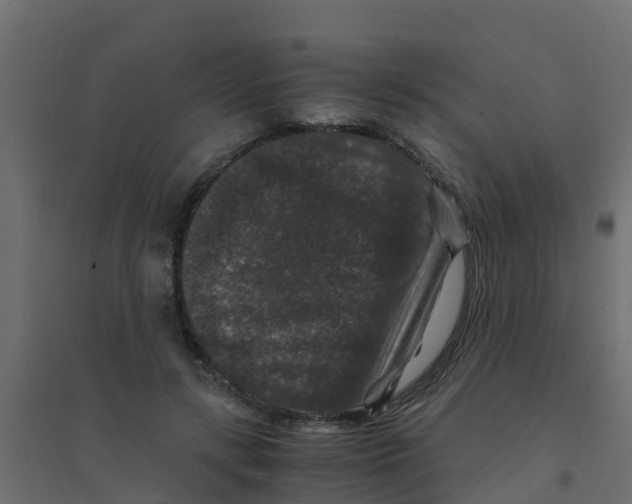 X0000094180547200711241555