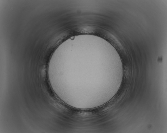 X0000094180549200711241555