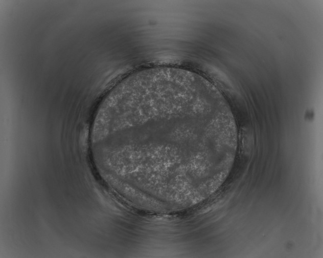 X0000094180550200711241555