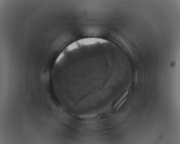 X0000094180551200711241555