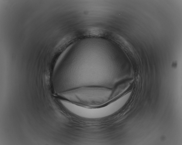 X0000094180552200711241555