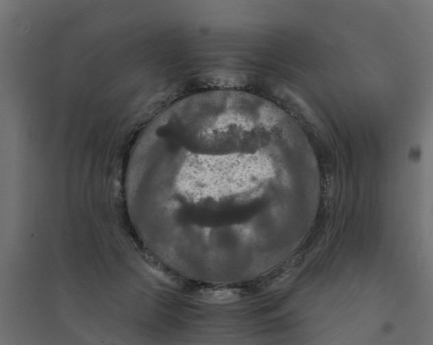 X0000094180553200711241555