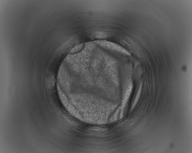 X0000094180555200711241555