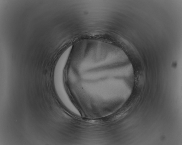 X0000094180558200711241555