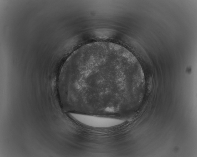 X0000094180559200711241555