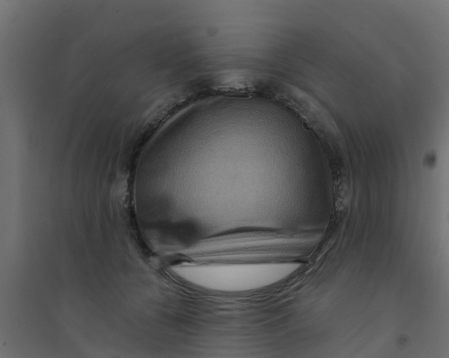 X0000094180560200711241555