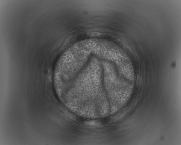 X0000094180561200711241555