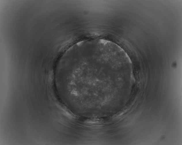 X0000094180563200711241555