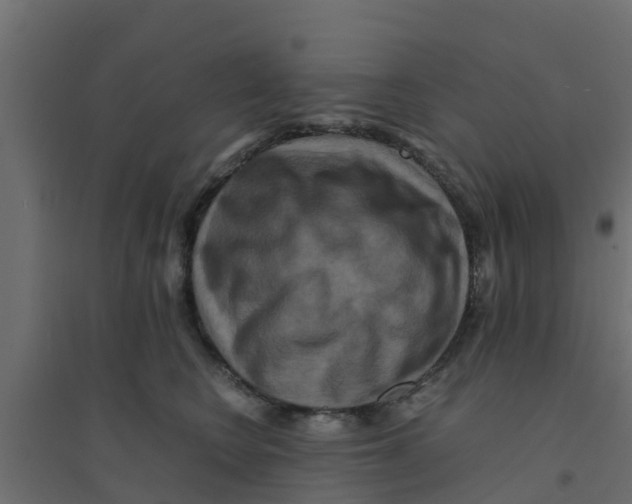 X0000094180566200711241555