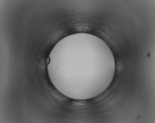 X0000094180567200711241555